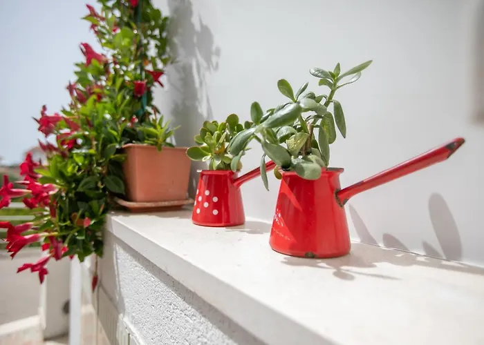 Sea View M * Podgora (Split-Dalmatia)